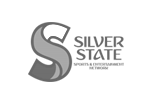 Silver State Sports Network